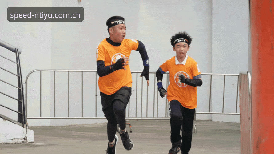 N体育平台流畅界面功能详解：实用必备知识，助你高效掌控赛场动态