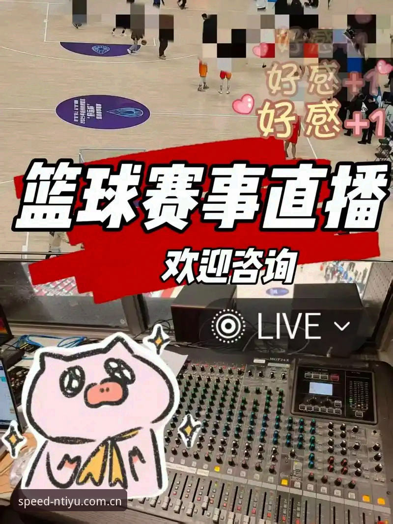 n体育赛事直播详解：专业平台如何重塑观赛体验